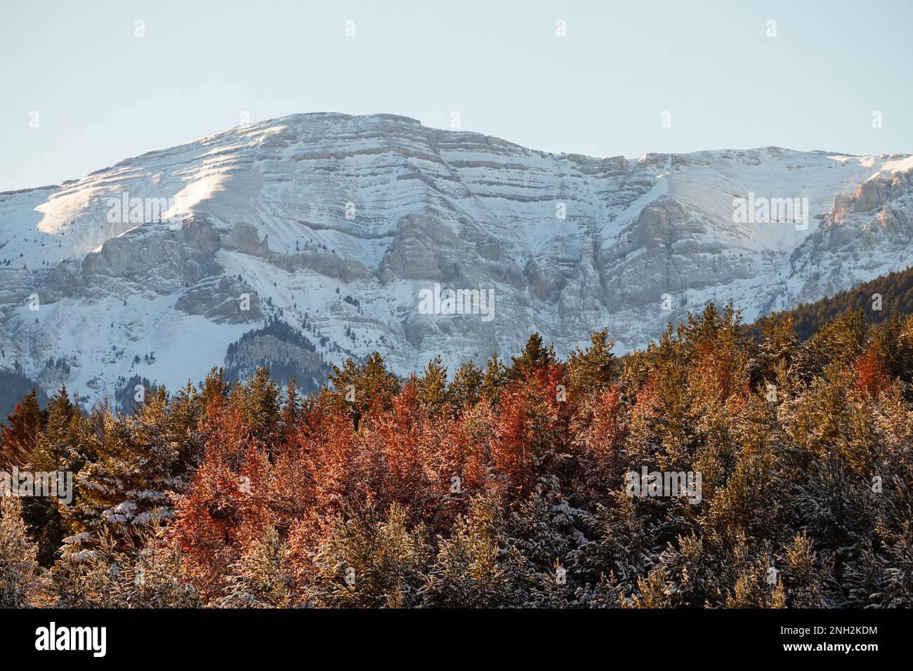 Der Naturpark Cadi-Moixero befindet sich zwischen den Regionen Cerdanya und bergueda in Katalonien, Spanien Stockfoto