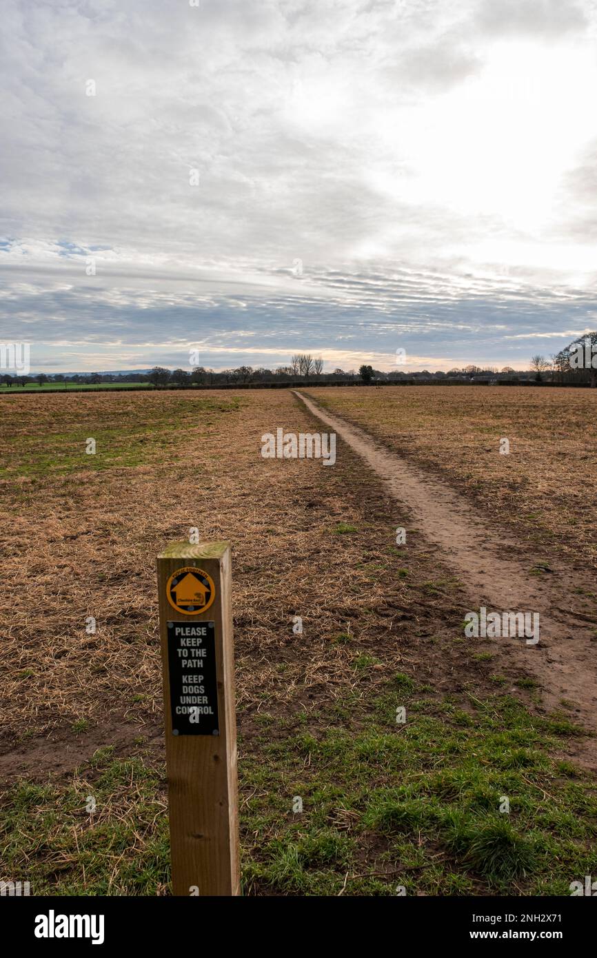 Öffentlicher Fußweg über ein Bauernfeld mit Hundewarnung und Aufforderung, sich am PATH-Schild in Cheshire UK zu halten Stockfoto