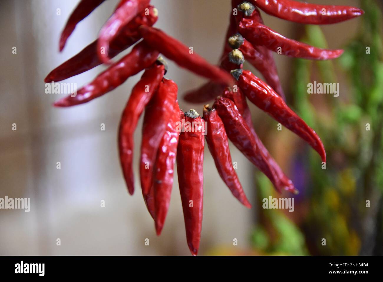 Kalabrische chili -Fotos und -Bildmaterial in hoher Auflösung – Alamy Kalabrische chili -Fotos und -Bildmaterial in hoher Auflösung – Alamy