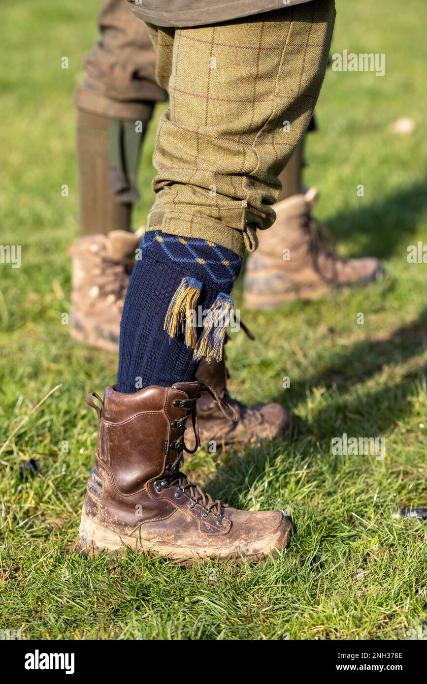 Fasanenschießen, Großbritannien. Stockfoto