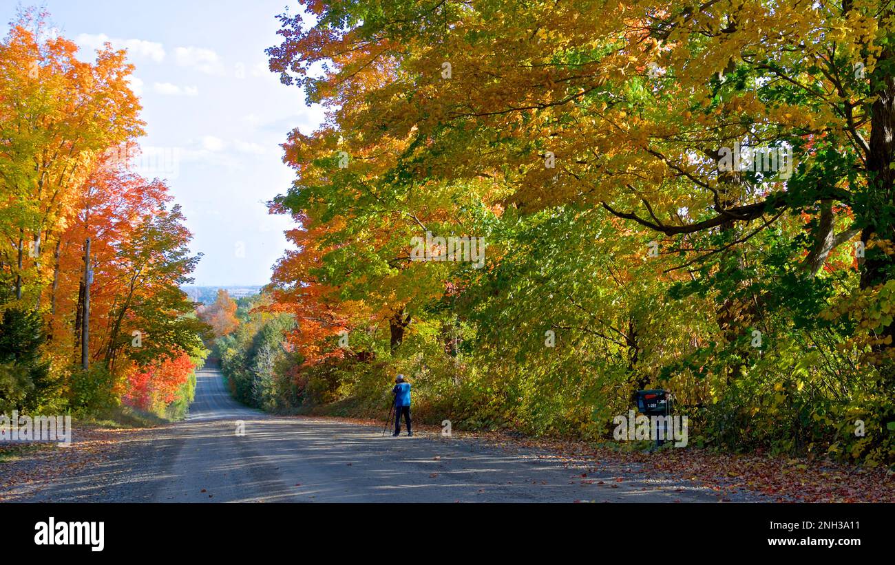 Orangeville, Ontario / Kanada - 10/11/2022: Ein Fotograf, der die Landschaft einer Bergstraße mit blattfarbenem Herbstlaub fotografiert Stockfoto