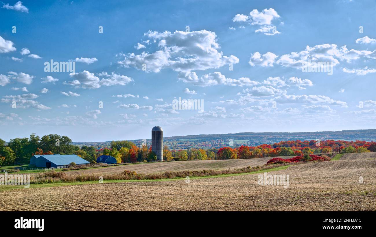 Panoramalandschaft eines landwirtschaftlichen Feldes mit Herbstblattfarbe Stockfoto