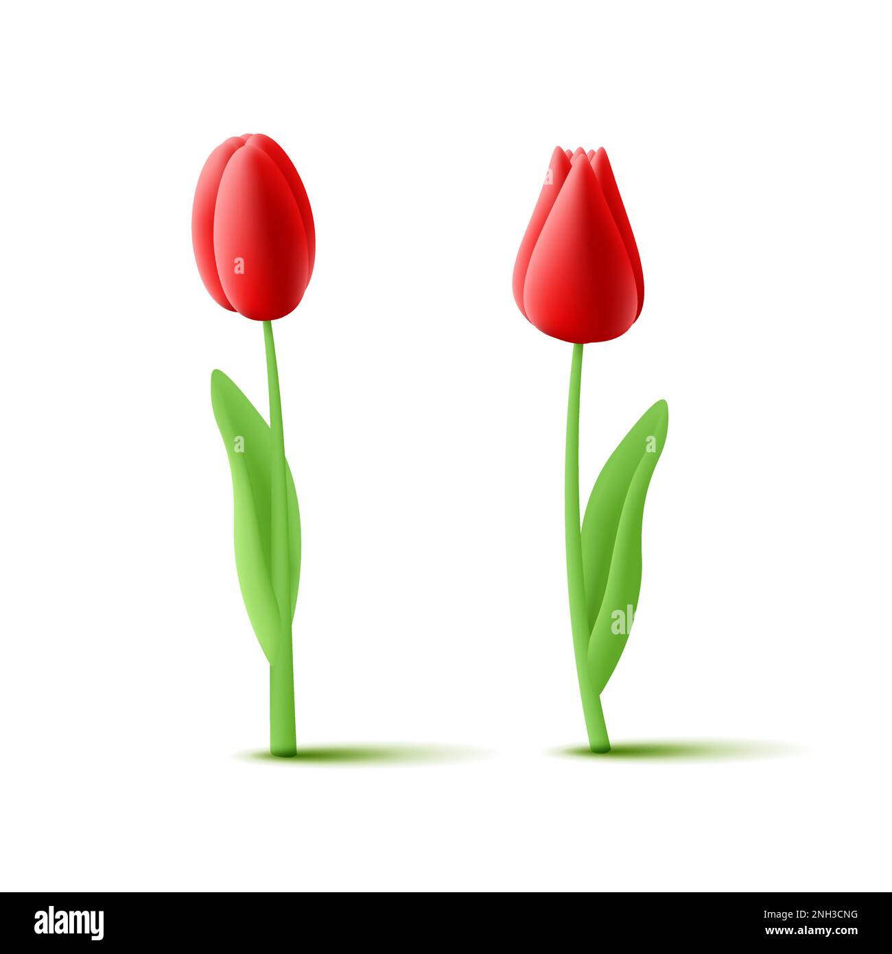 Tulpenblüten 3D Abbildung auf Stiel mit Blättern mit unterschiedlicher Blütenform in Rot Stock Vektor