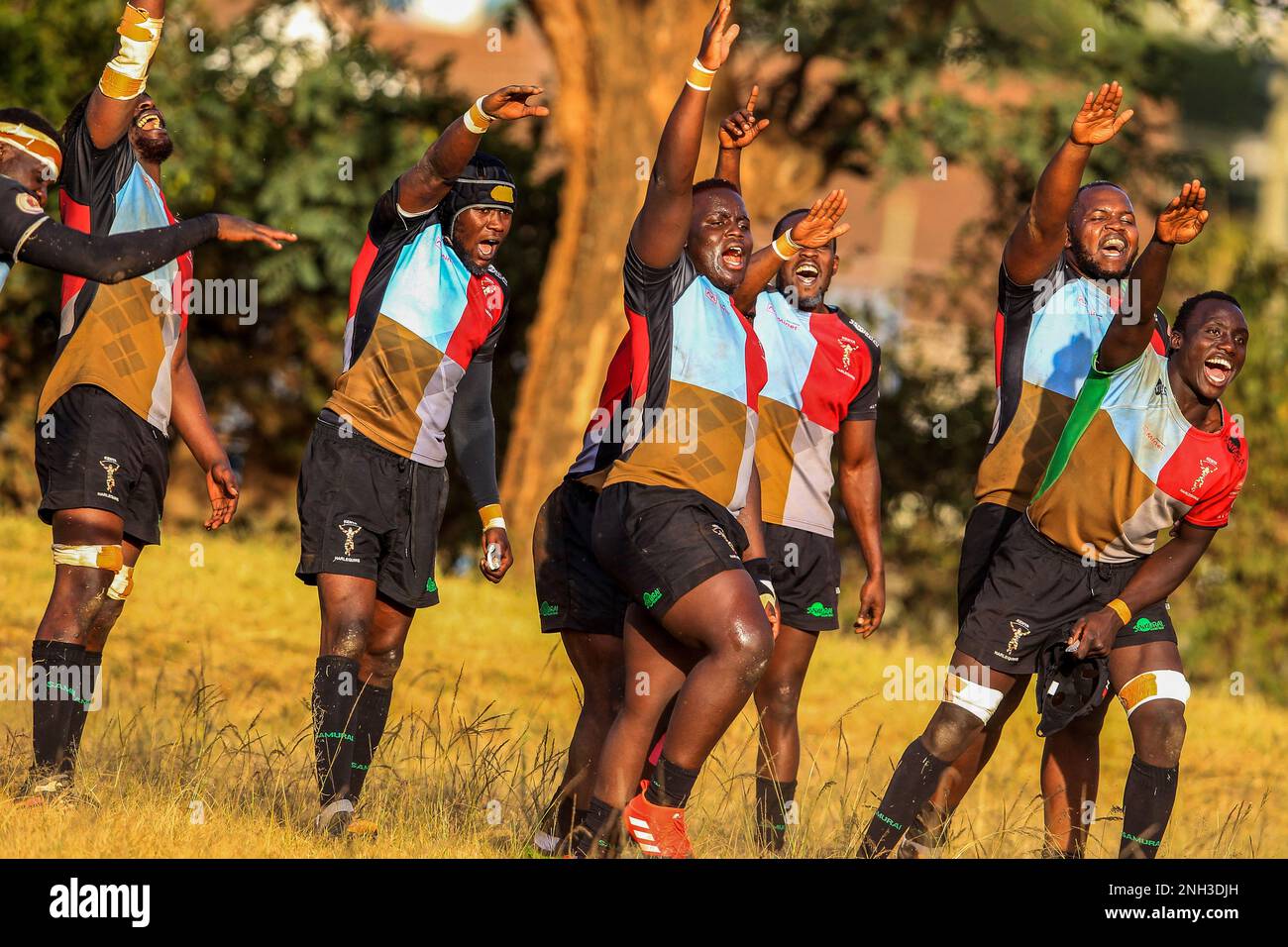 Das Kenya Cup Rugby-Spiel zwischen Kenya Harlequins und Blak Blad auf dem RFUEA Ground in Nairobi, Kenia. Stockfoto