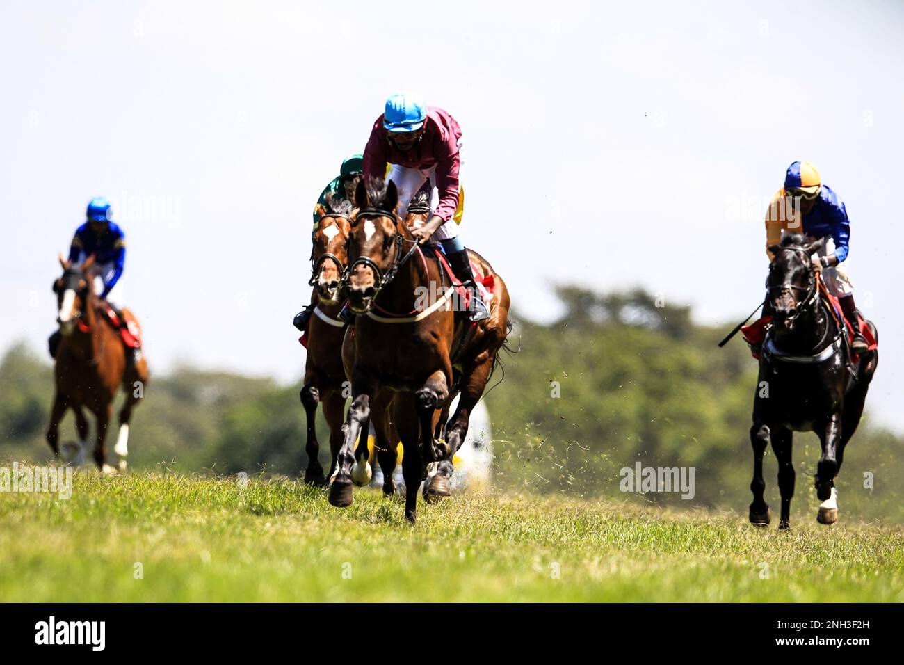 Jack Sparrow, geritten von Jockey James Muhindi, gewinnt von anderen an Boden, um das Distance Chilli Cup-Rennen 1200m auf der Ngong-Rennbahn zu leiten. Nairobi, Kenia. Stockfoto