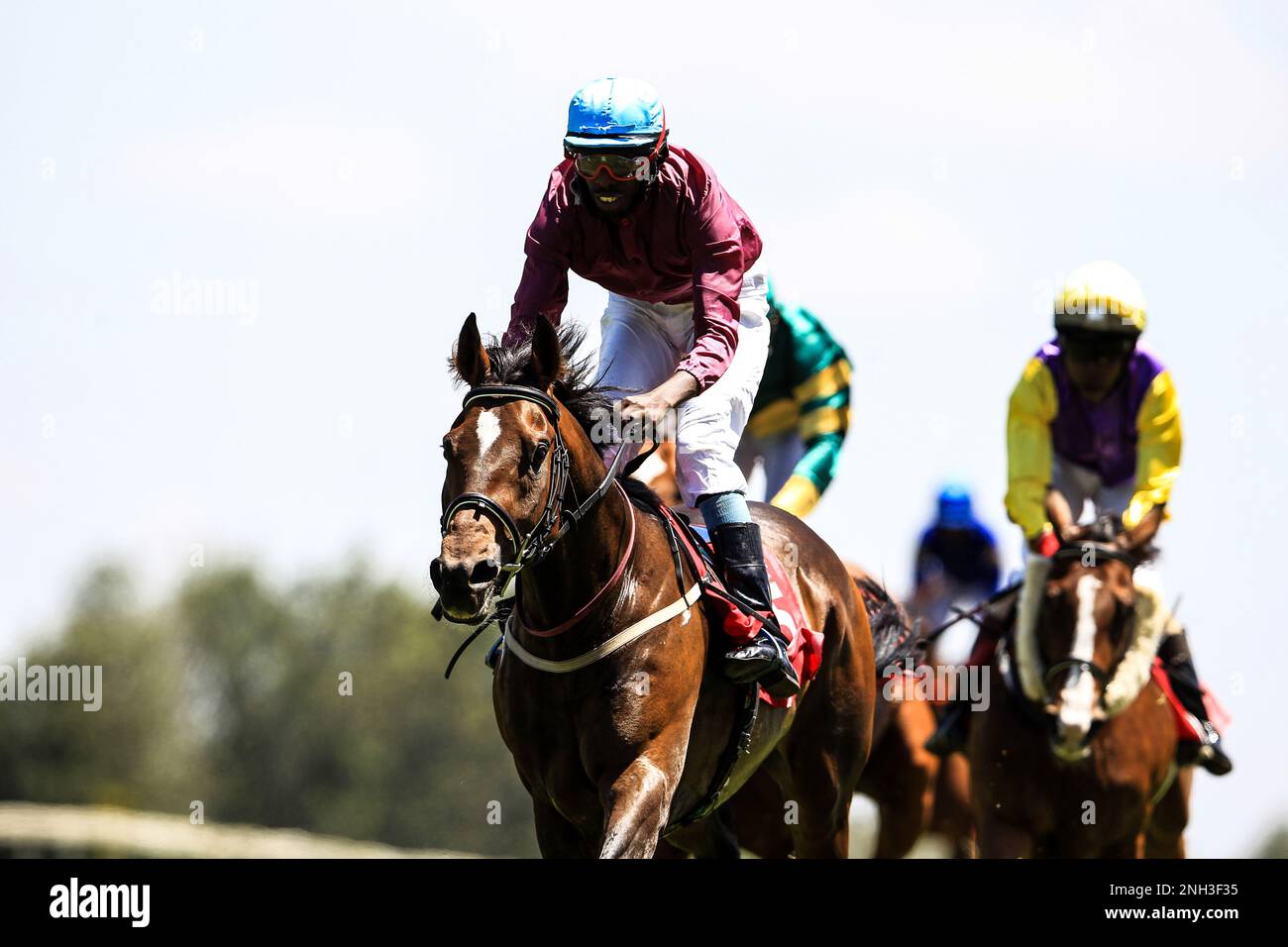 Jack Sparrow, geritten von Jockey James Muhindi, gewinnt von anderen an Boden, um das Distance Chilli Cup-Rennen 1200m auf der Ngong-Rennbahn zu leiten. Nairobi, Kenia. Stockfoto