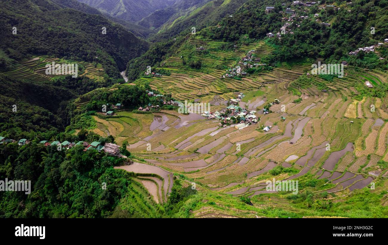 Luftdrohnenfoto von Reisterrassen in banaue, ifugao, luzon Island, philippinen Stockfoto