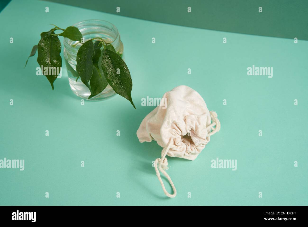 Eine weiße Baumwolltasche für Ihr Produkt neben einem grünen Ast auf hellgrünem Hintergrund. Das Konzept von Ökologie, Energie, Layout für Ihre Werbung. Draufsicht. Stockfoto