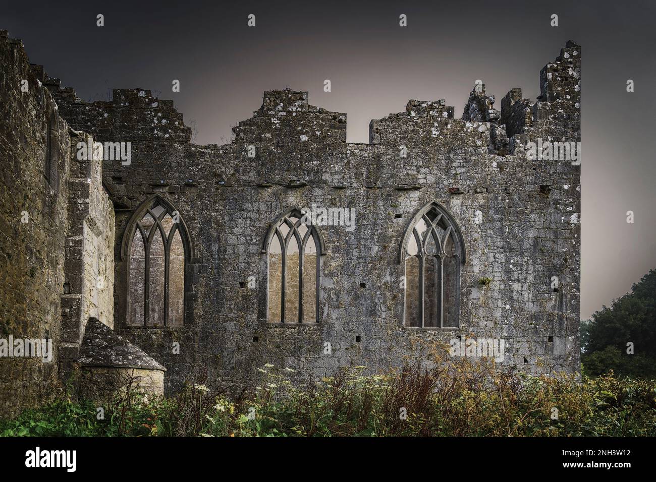 Ruinen von Askeaton Franciscan Friary auf dem River Deel in Askeaton, CO Limerick, Irland Stockfoto