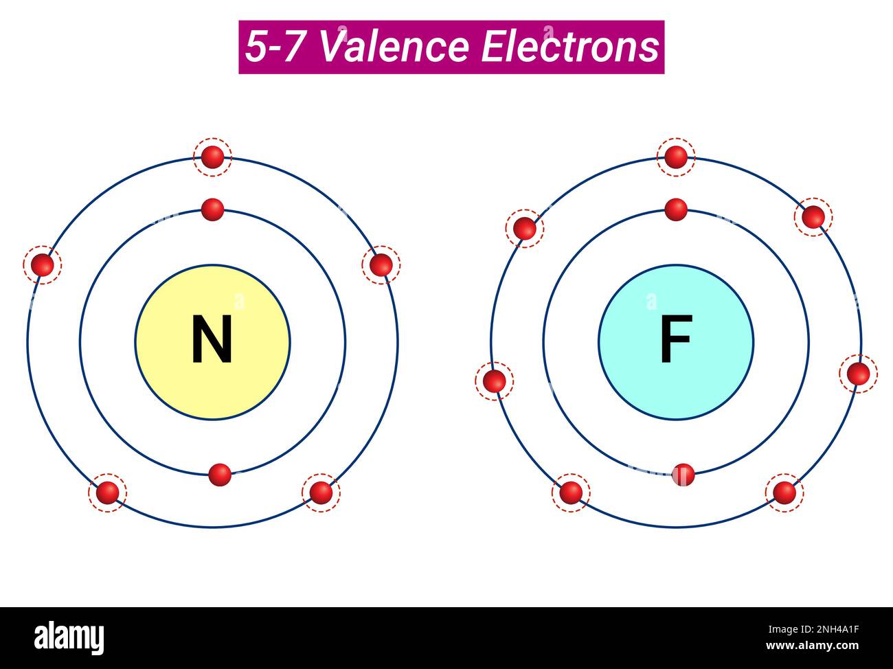 Chemische Reaktivität: 5 bis 7 Valenzelektronen Stock Vektor