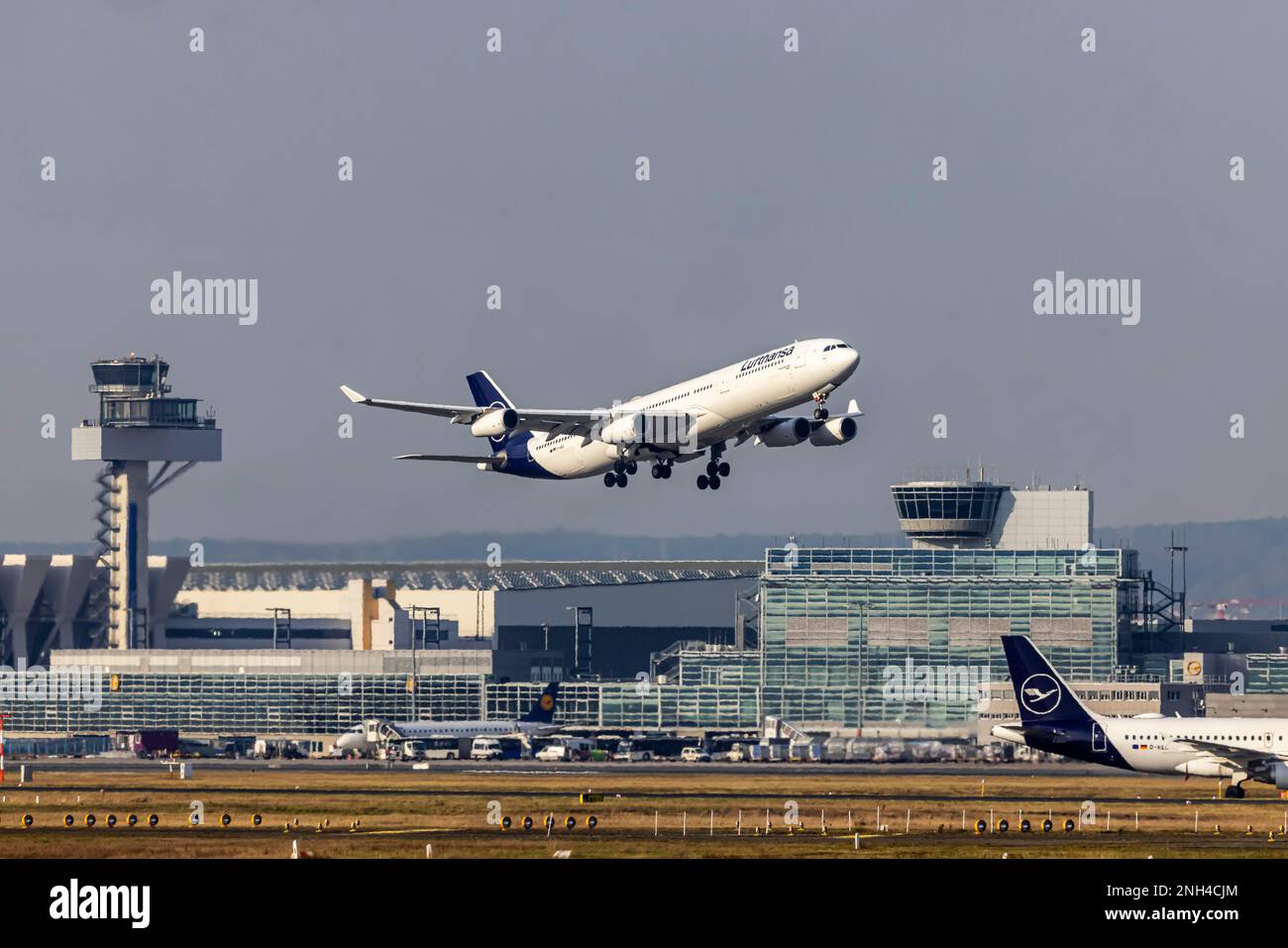 Flughafen Frankfurt mit Turm, Fraport, Flugzeug des Musters Airbus A340 der Fluggesellschaft Lufthansa während des Starts, Frankfurt am Main, Hessen, Deutschland Stockfoto