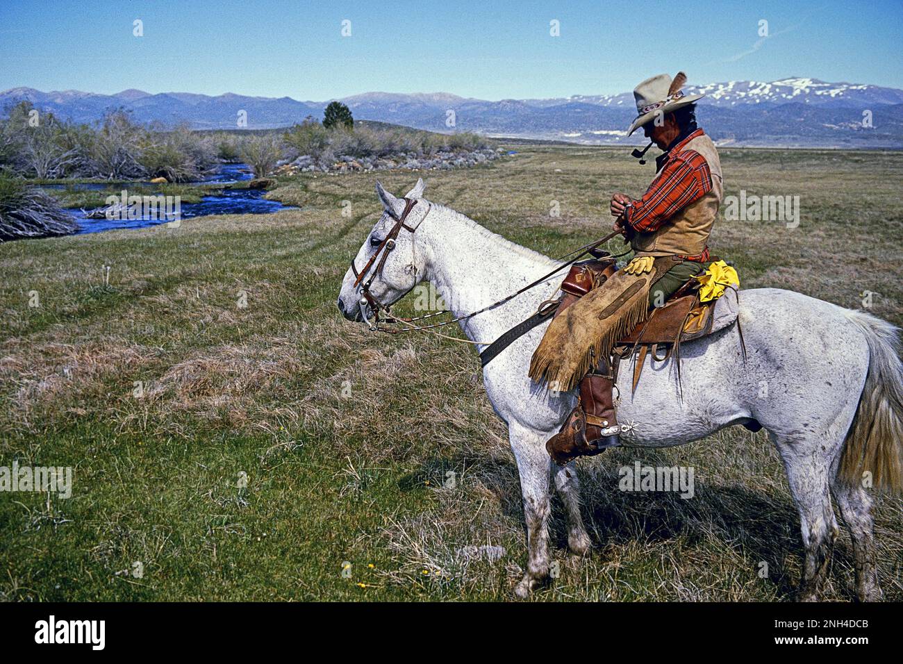 Cowboy auf leichtem Pferd mit Vaquero Western Chaps (Chinks), Ranch in ...