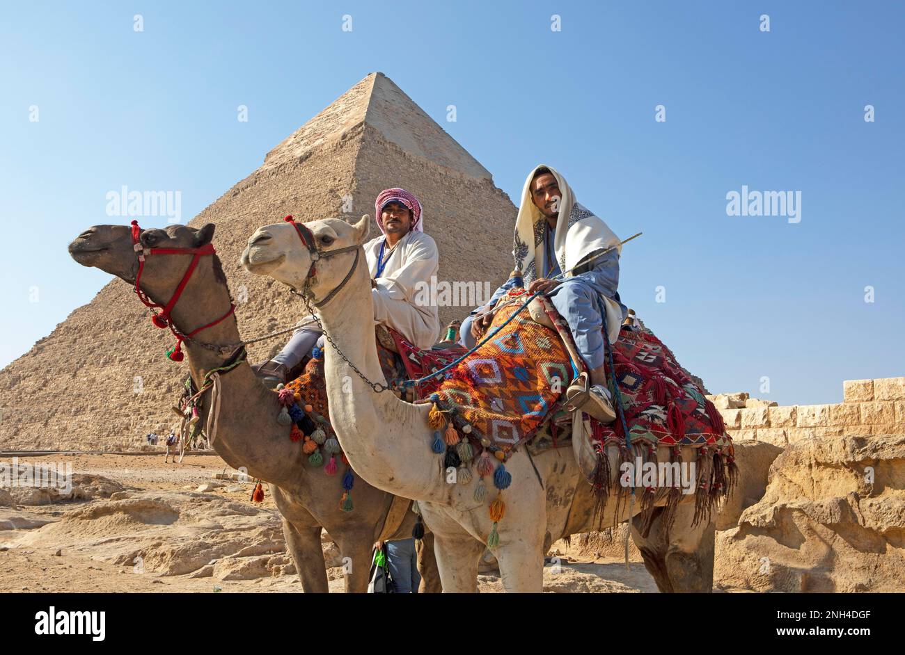 Ägyptische Männer auf Kameliden (Camelidae), hinter einer Pyramide, Gizeh, Kairo, Ägypten, Afrika Stockfoto