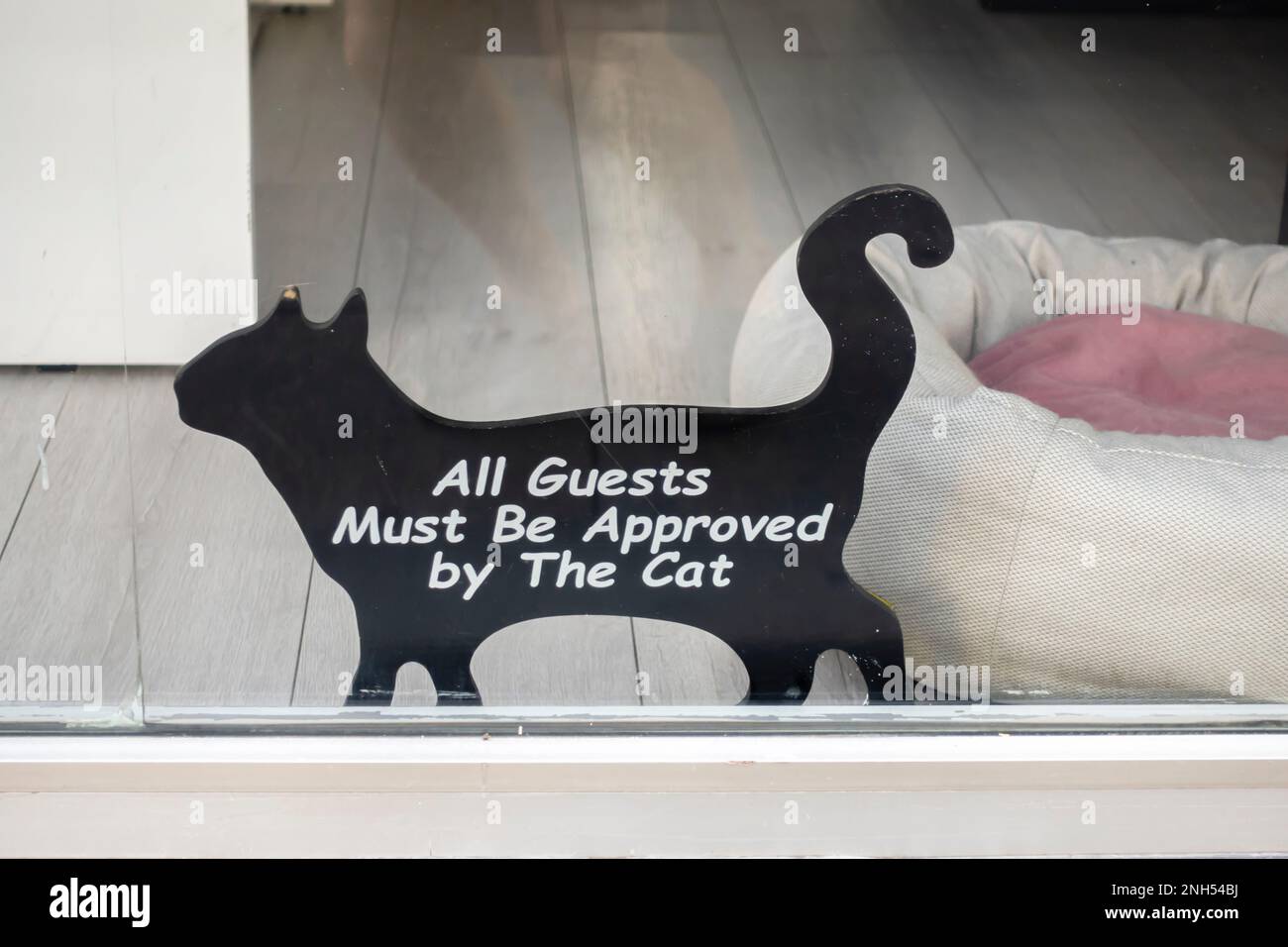 'Alle Gäste müssen von der Katze genehmigt werden' witziges niedliches Schaufensterschild. Istanbul Türkei Stockfoto