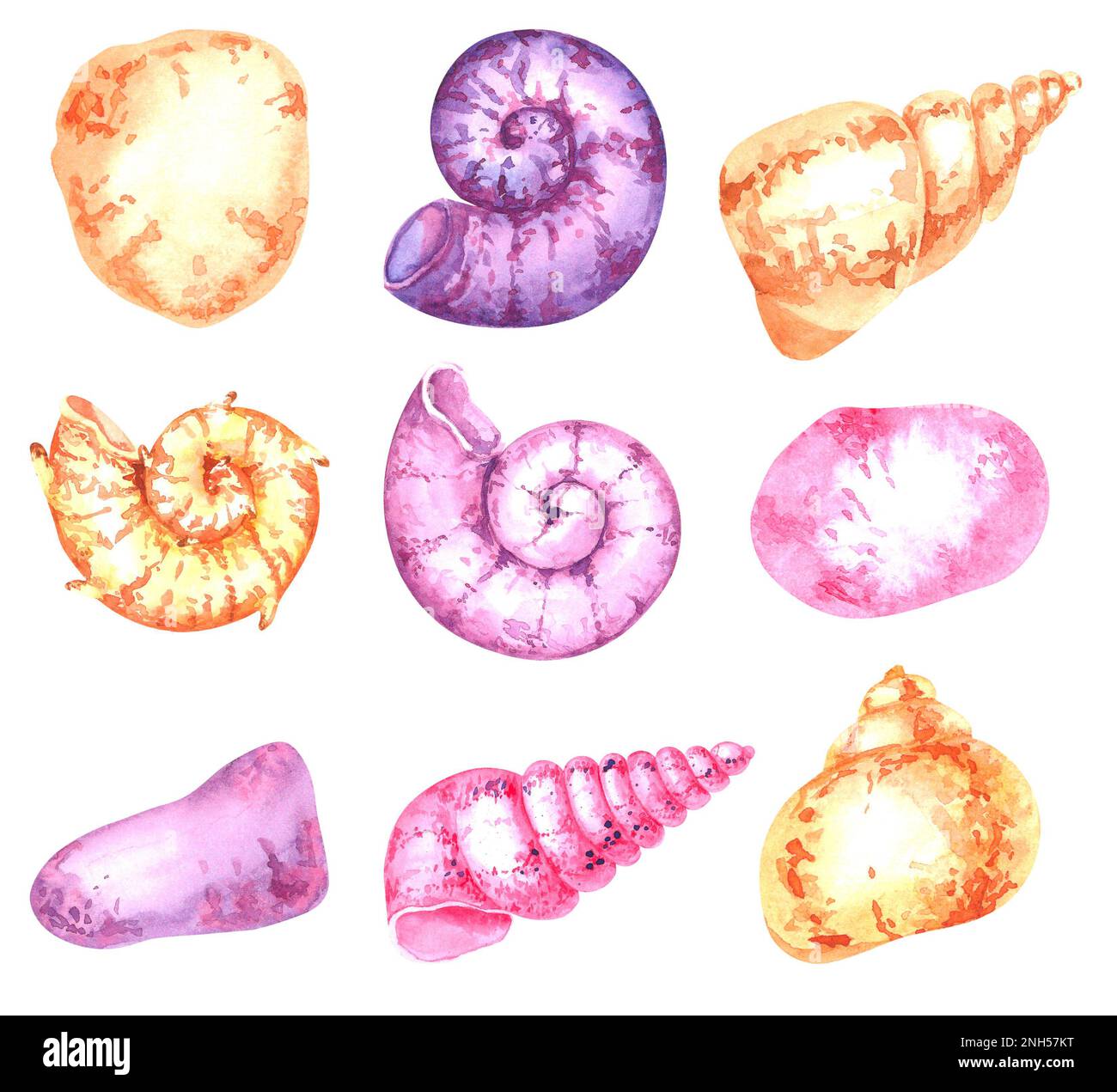 Handbemalte Seashells in Gold, Violett und Pink für Produktdesign Stockfoto