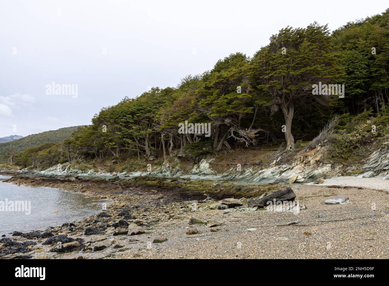 Blick von einem Strand im Tierra del Fuego Nationalpark, Ushuaia - Reise nach Südamerika und Argentinien Stockfoto