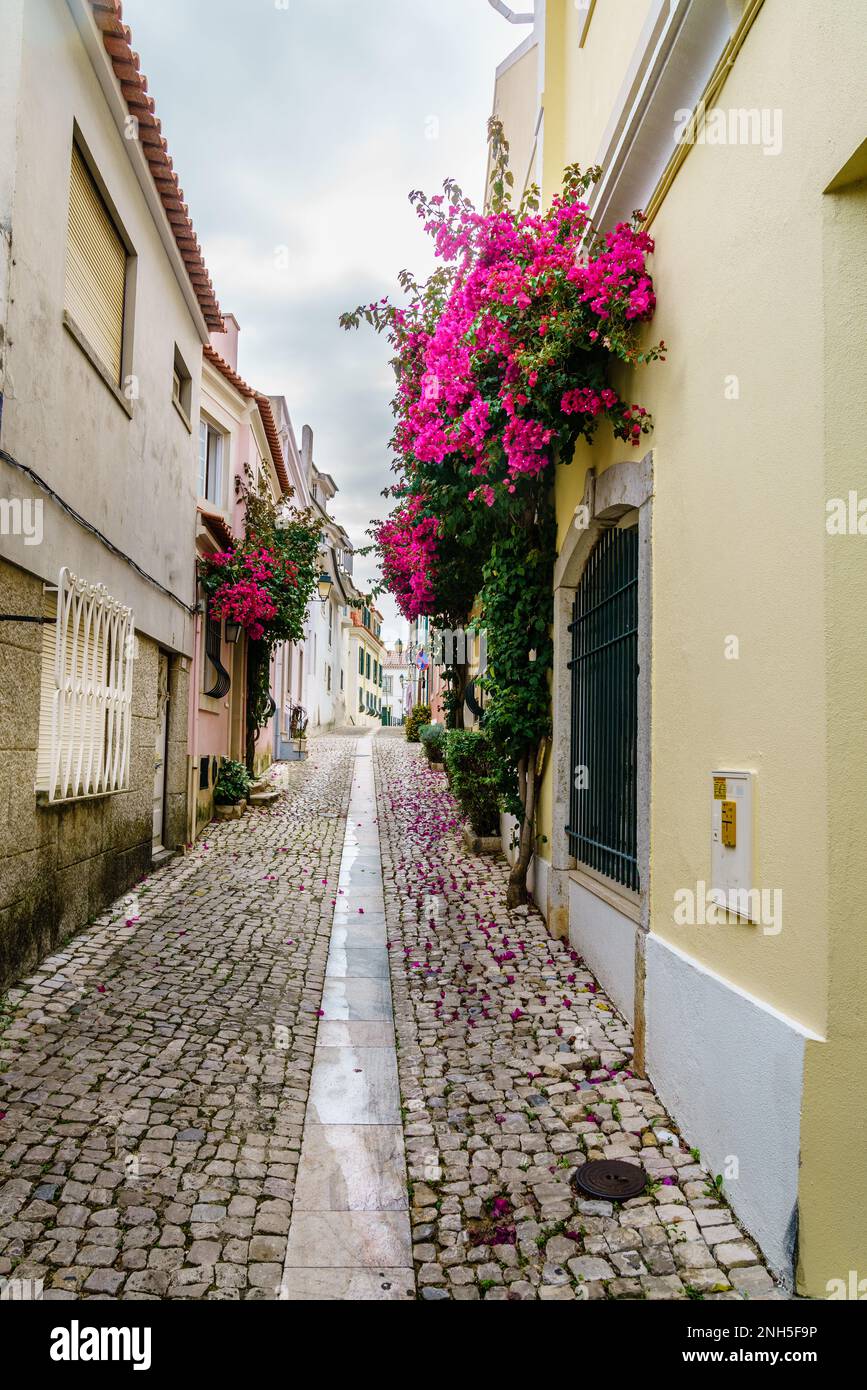 Fußgängerzone mit Kopfsteinpflaster in Cascais, Portugal Stockfoto