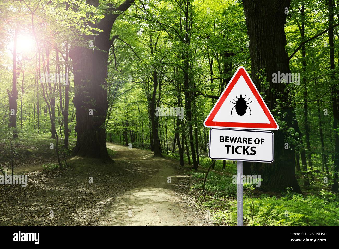 Warnschild Vorsicht vor Zecken im Wald an sonnigen Tagen Stockfoto