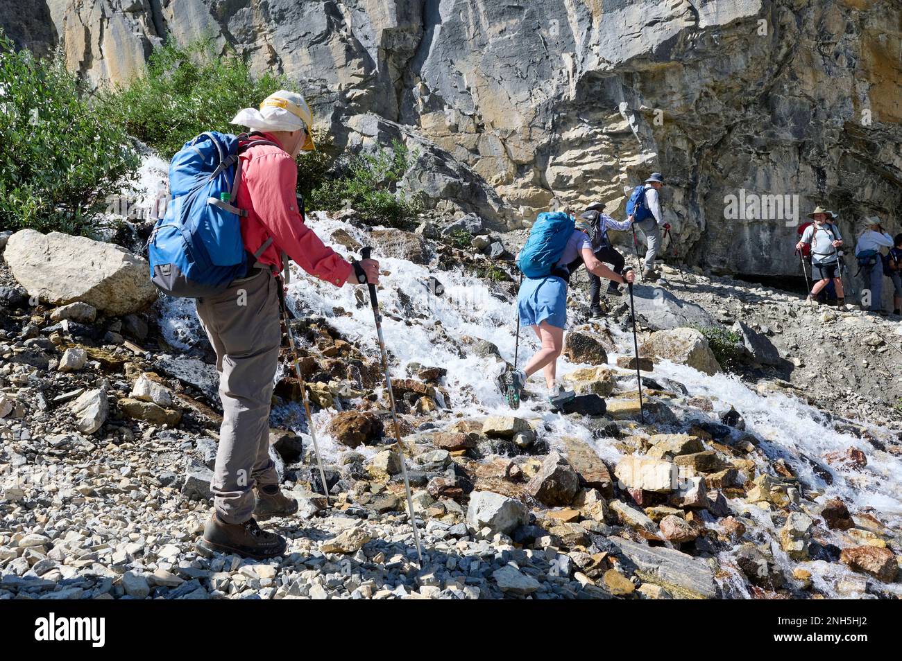 Wanderer überqueren einen Bach, der vom Stanley Glacier, Stanley Glacier Trail, Kootenay National Park, British Columbia, Kanada gespeist wird. Stockfoto