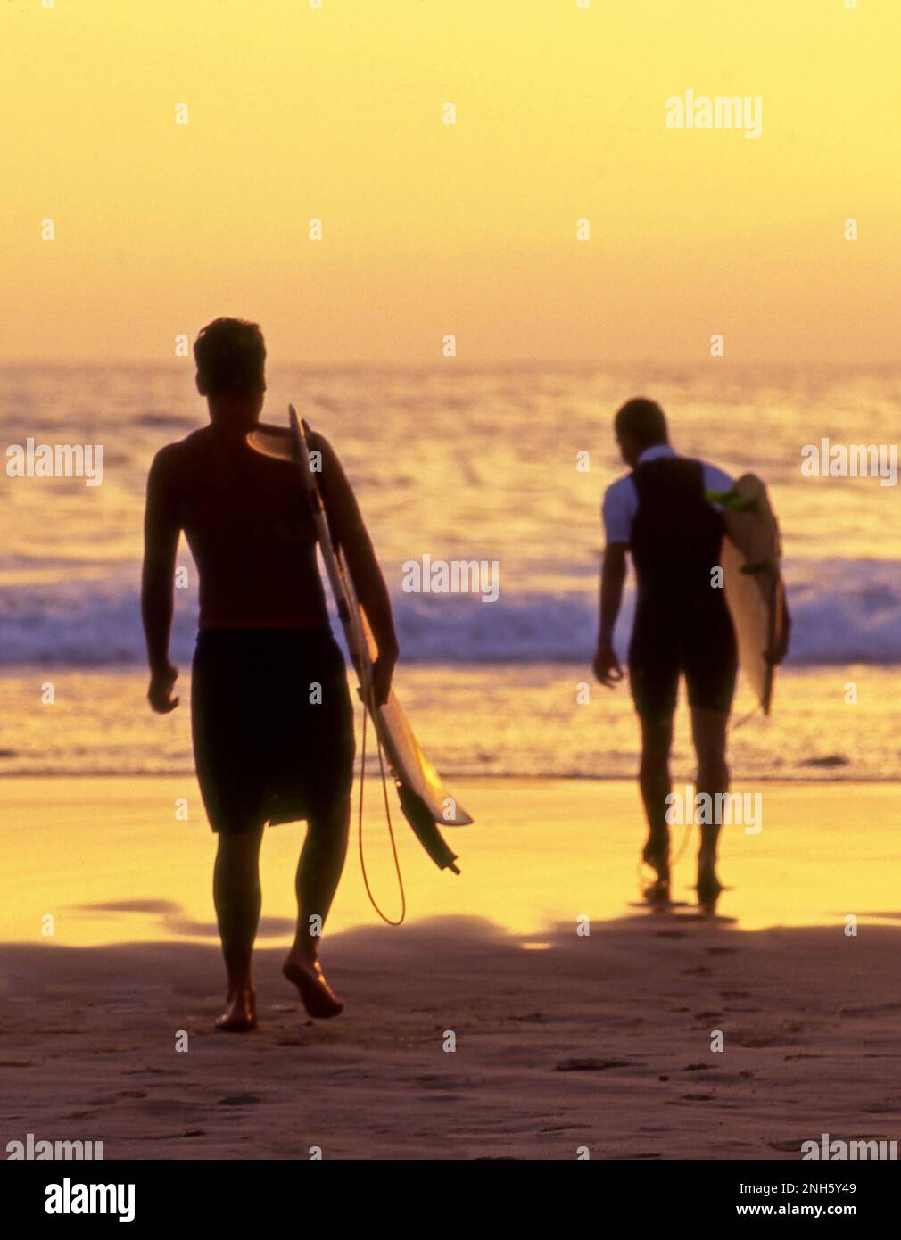 Surfer, die bei Sonnenuntergang an der Küste Südkaliforniens ins Wasser kommen. Stockfoto