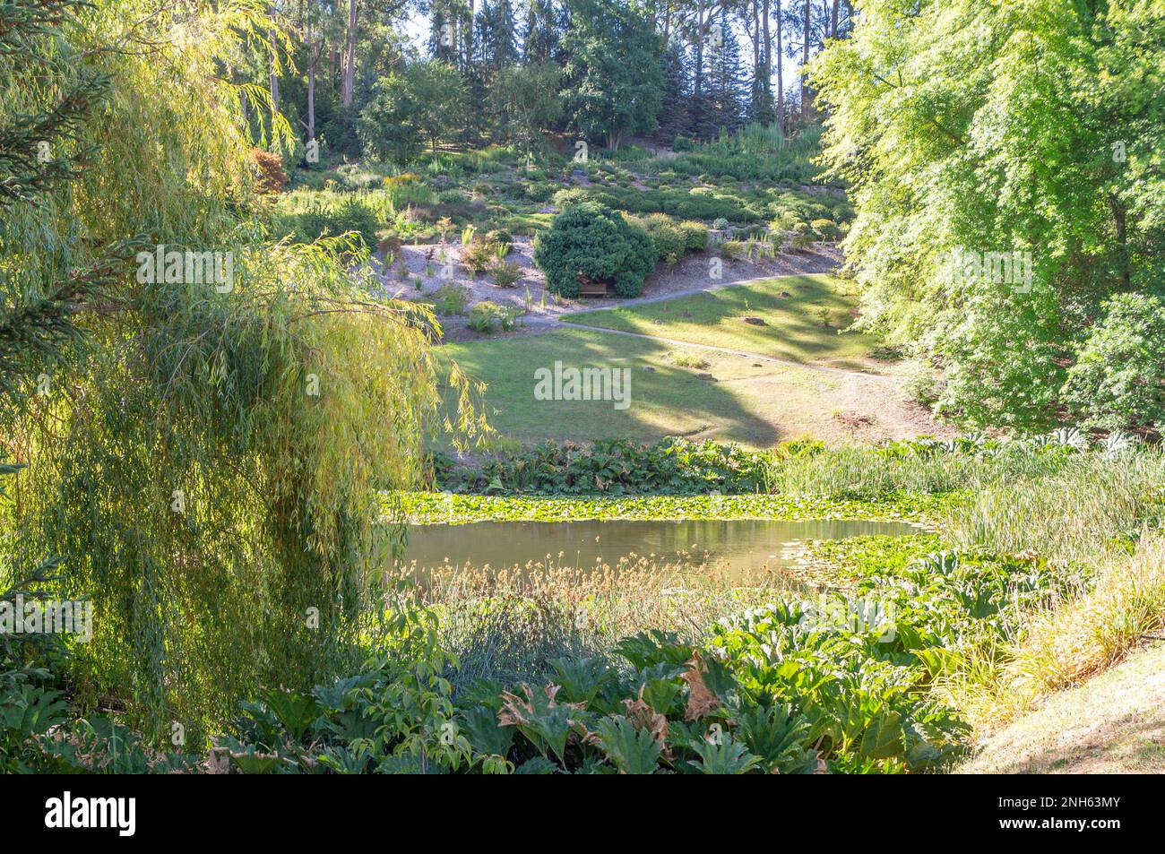 Draußen an der frischen Luft, umgeben von Grün Stockfoto