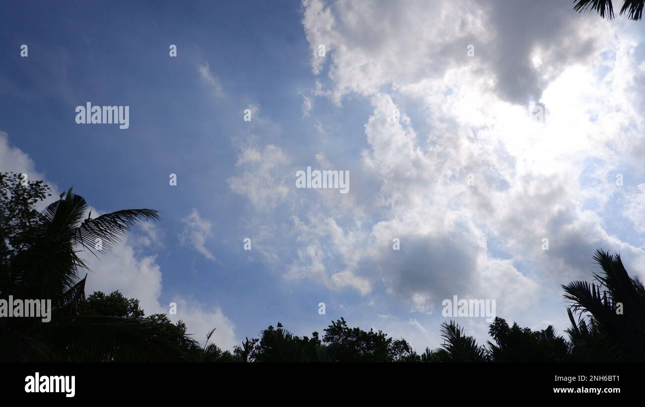 Leuchtender Blauer Himmel Und Große Weiße Wolken, Mit Silhouetten Von Bäumen, Bewegung Nach Links Stockfoto