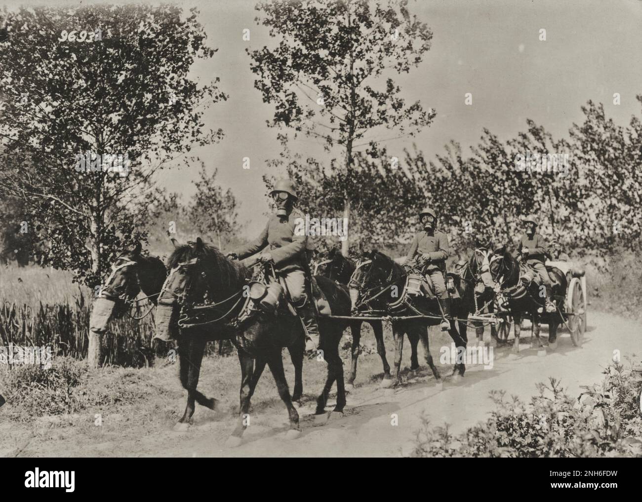 1914-1918. Erster Weltkrieg Deutscher Transport mit Pferdekutsche, in der Soldaten und Pferde mit Gasmasken ausgestattet sind. Stockfoto
