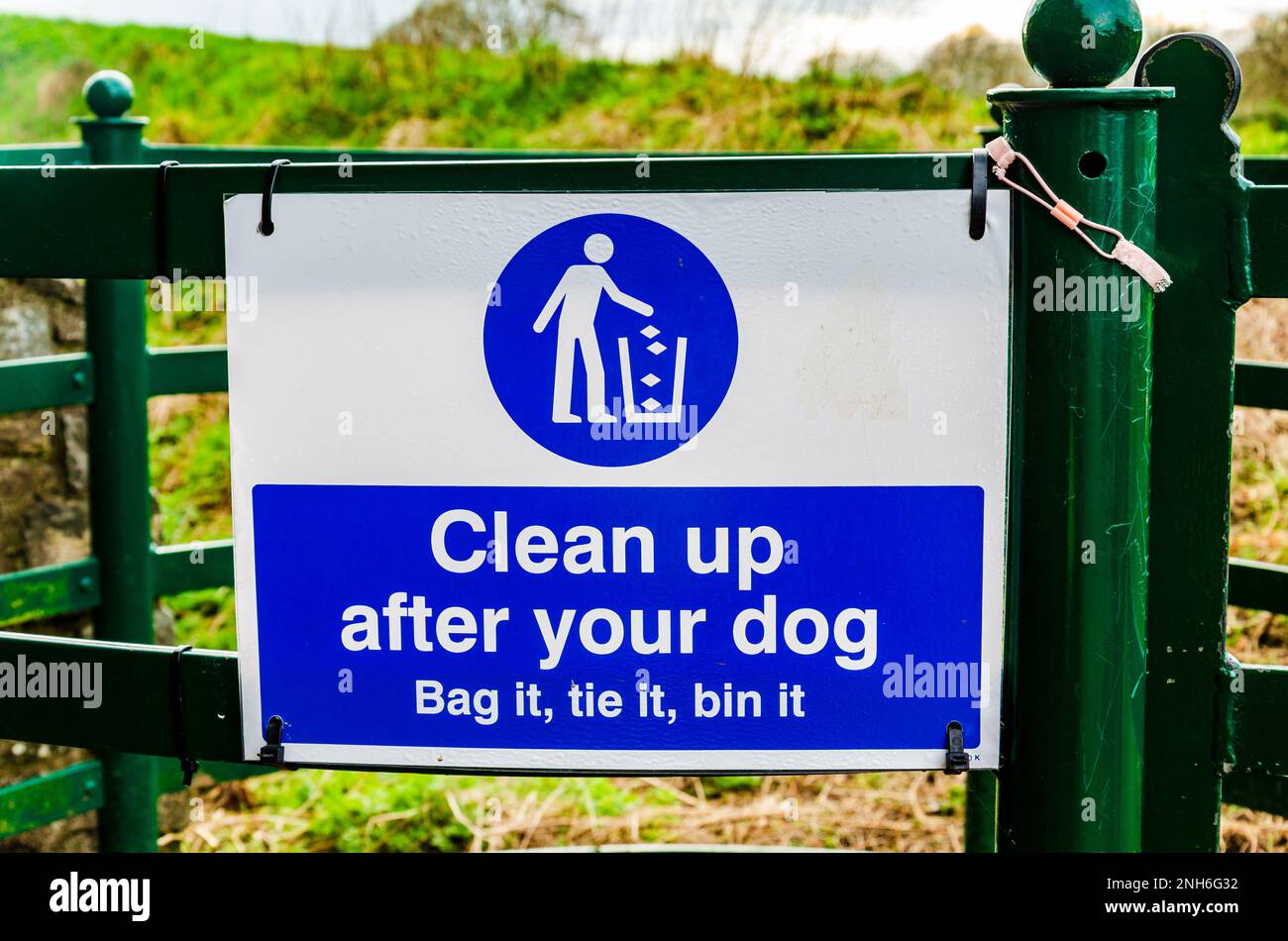 Blau-weißes Schild „Clean up after your dog“ (nach dem Hund aufräumen) Stockfoto