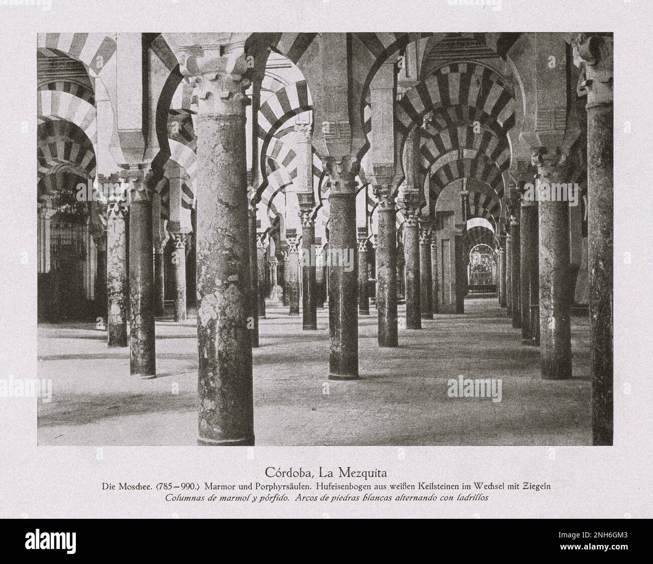 Architektur des alten Spaniens. Cordoba, La Mezquita Moschee. (785-990). Säulen aus Marmor und Porphyrie. Hufeisenbogen aus weißen Keilsteinen, die sich mit Ziegeln abwechseln Stockfoto