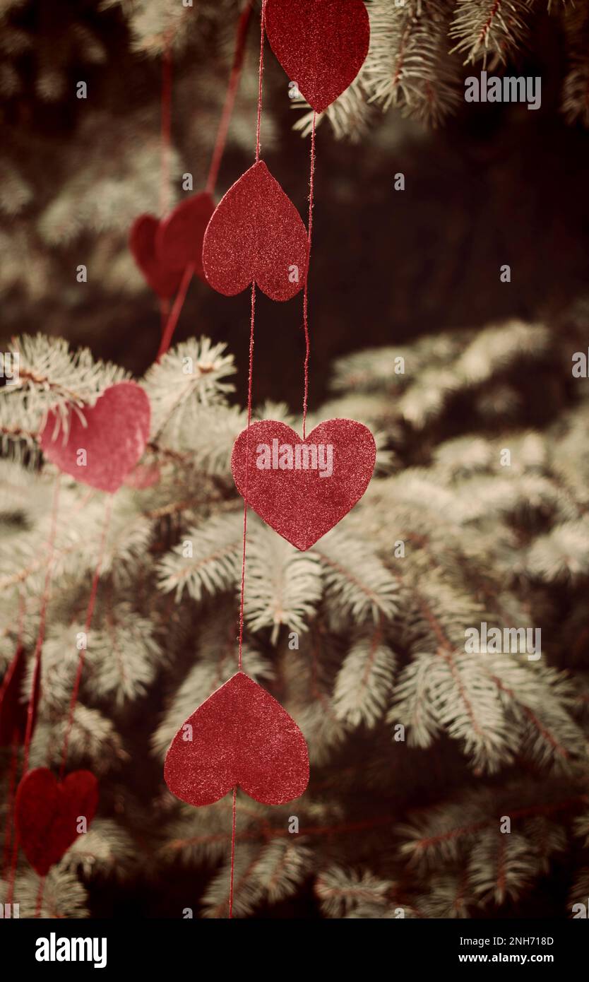 Rote dekorative wunderschöne Herzen hängen draußen an Fichtenzweigen. Wunderschöner romantischer Hintergrund, dekoriert für den Valentinstag. Sepia Stockfoto