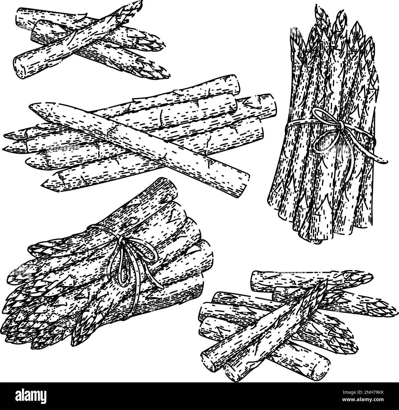 Spargelgrün weißes Essen Set Skizze handgezeichneter Vektor Stock Vektor