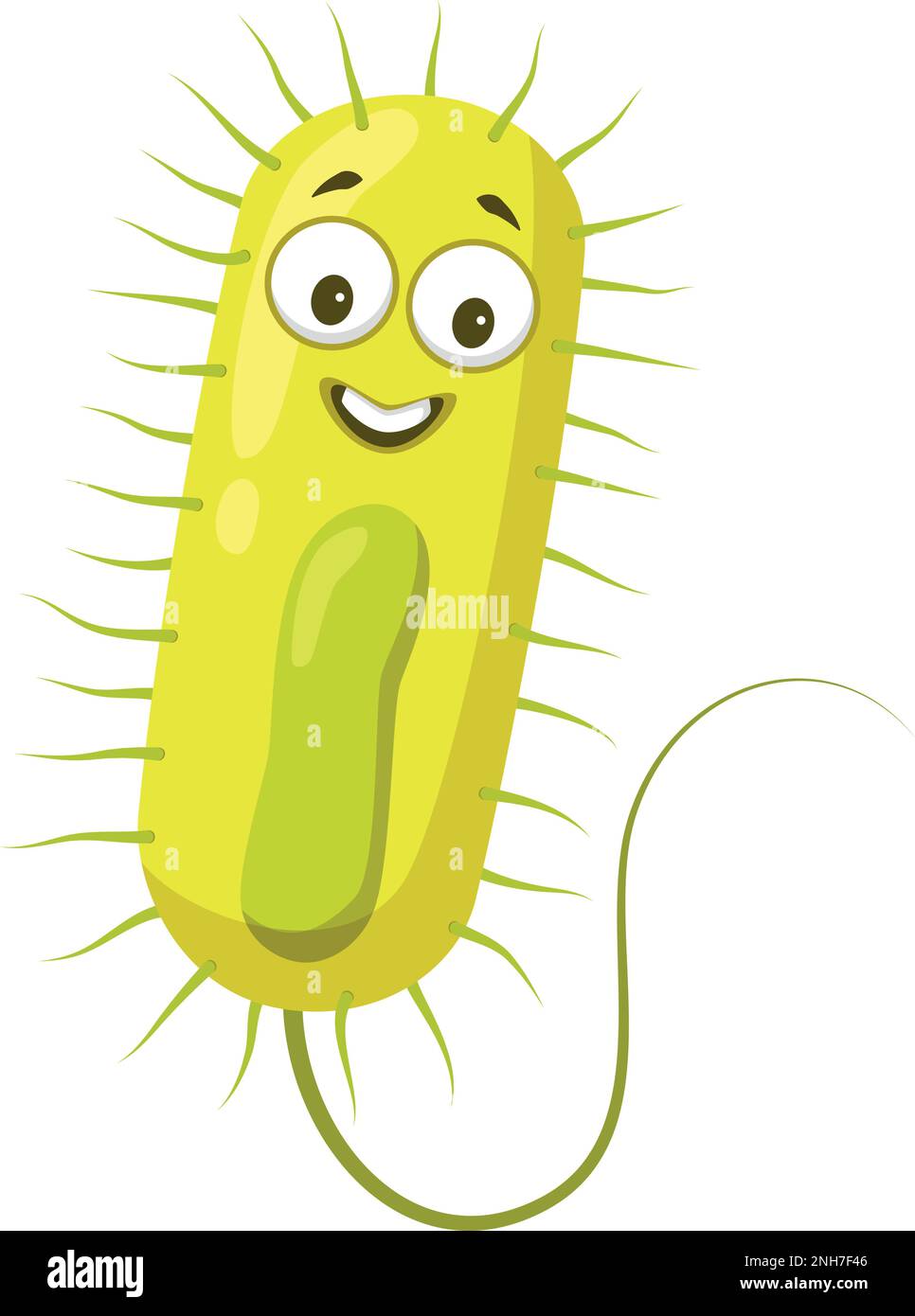 Vektordarstellung eines Bacillus-Bakteriums im Cartoon-Stil isoliert auf weißem Hintergrund Stock Vektor