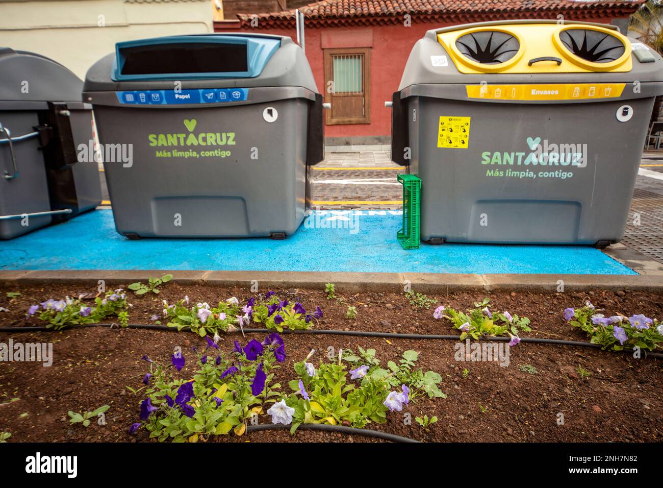 Mülltonnen, Santa Cruz de Teneriffa, Kanarische Inseln, Spanien, Tourismus, Wintersonne, Sehenswürdigkeiten, mit Blumen im Vordergrund Stockfoto