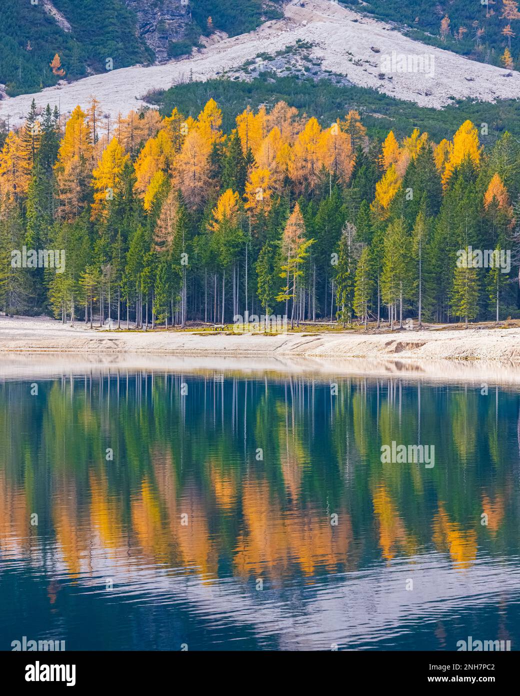 Ein friedlicher Herbstvormittag mit vielen Herbstfarben von den Lärchen am Pragser Wildsee (Lago Braies), einem malerischen See in den Dolomiten in Sou Stockfoto