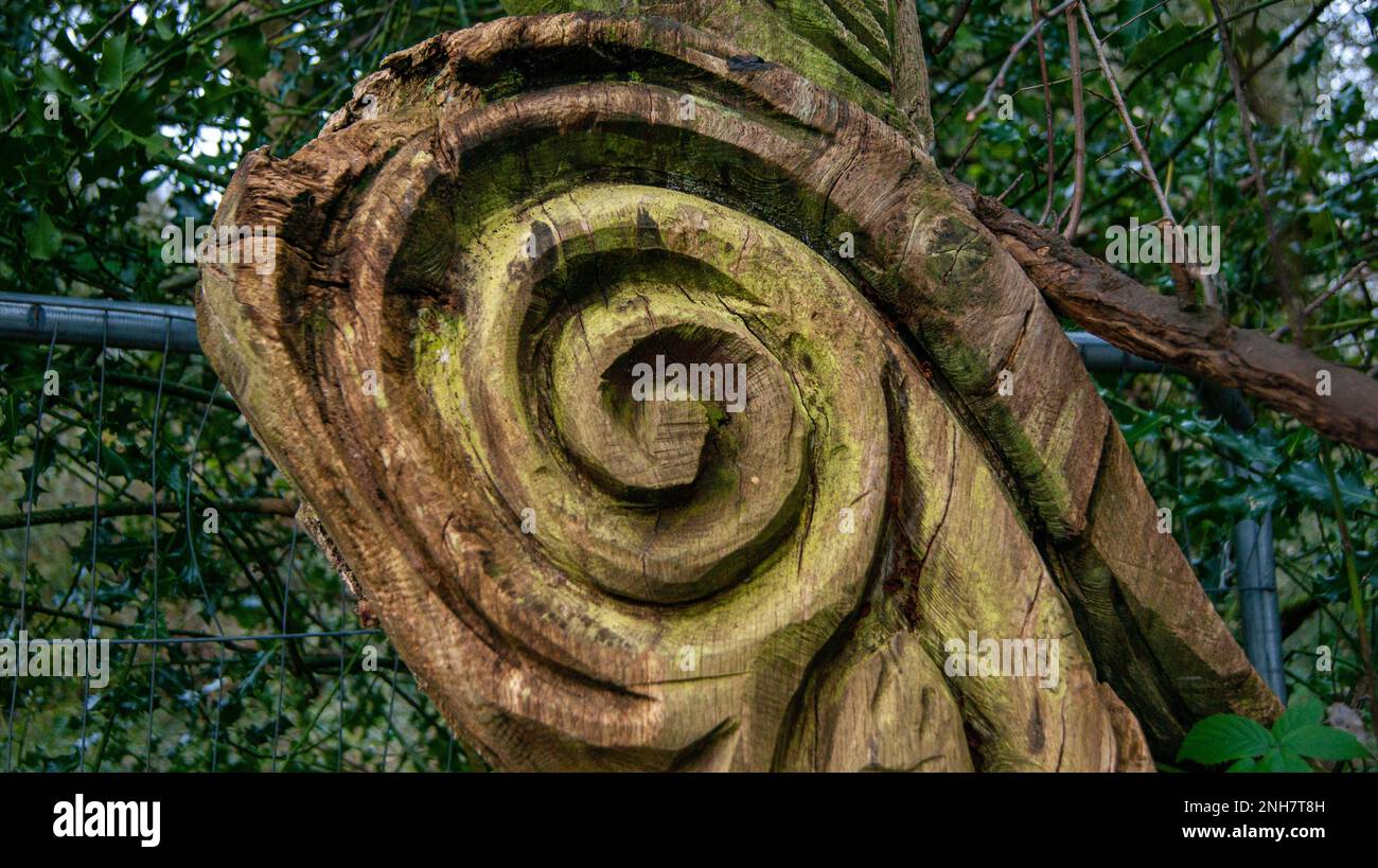 Holzgravierung, abstrakte Kreise, Fototiefe und Lebendigkeit Stockfoto