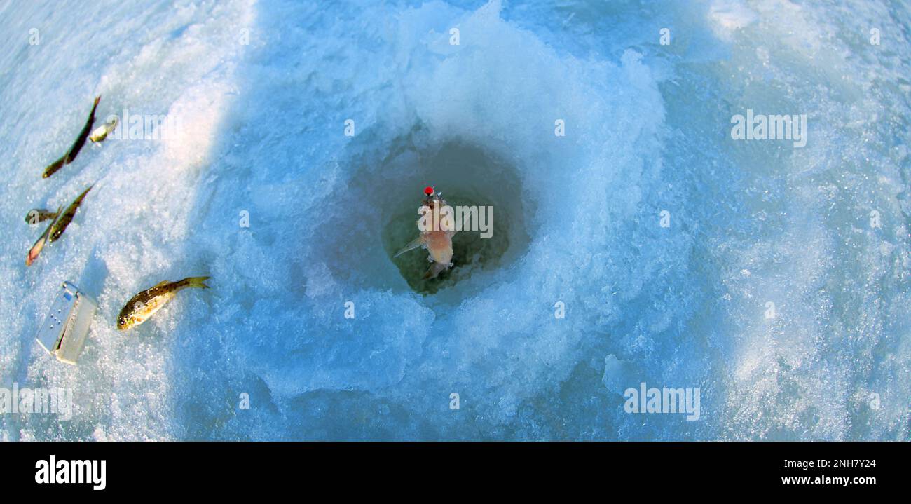 Eisangeln. Ein Bild vom Raufenfischen mit einem Loch. Es wird eine Fischaugenlinse verwendet Stockfoto