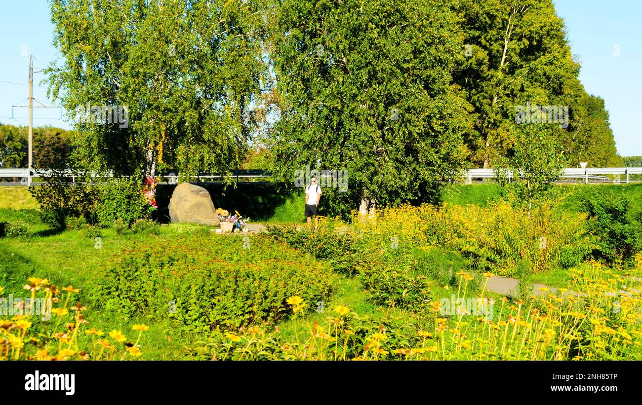 Männlicher Tourist, der im Sommer unter den Birken auf die Sehenswürdigkeit des Naturdenksteins blickt Stockfoto