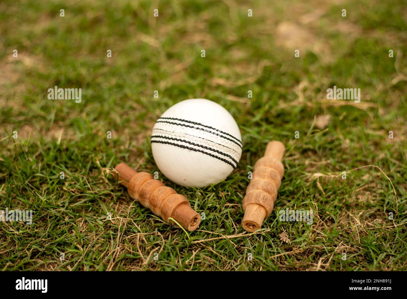 Cricketball und Abhauen auf grünem Gras auf dem Platz Stockfoto