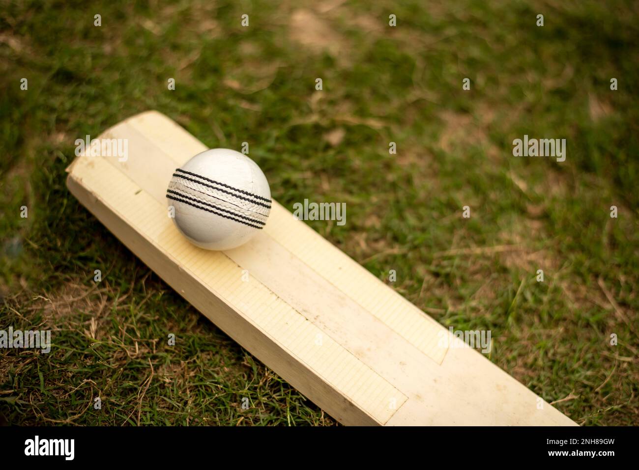 Cricketschläger und Ball auf dem Rasenfeld Stockfoto