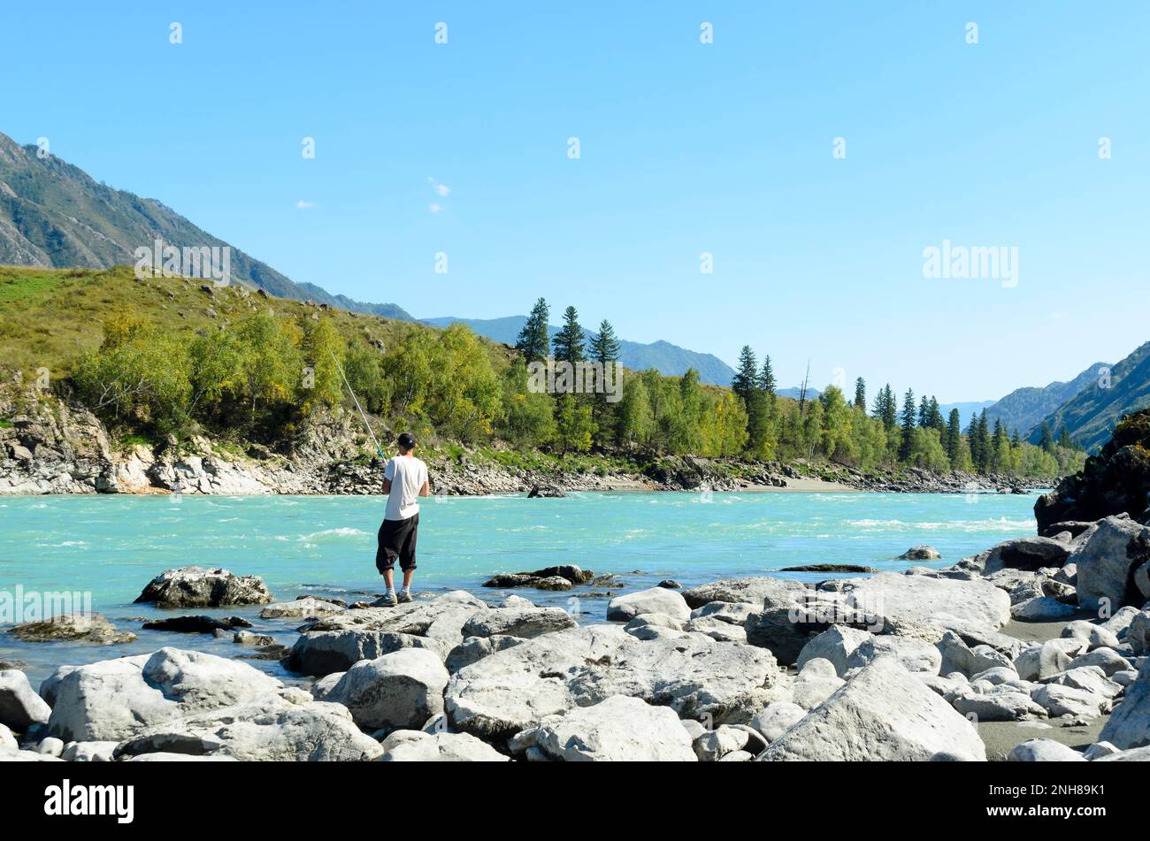 Männlicher Angler in aufgerollten Hosen, weißem T-Shirt und Mütze zum Angeln, warm und hell, schneller türkisfarbener Bergfluss Katun im Altai auf dem steinigen Stockfoto