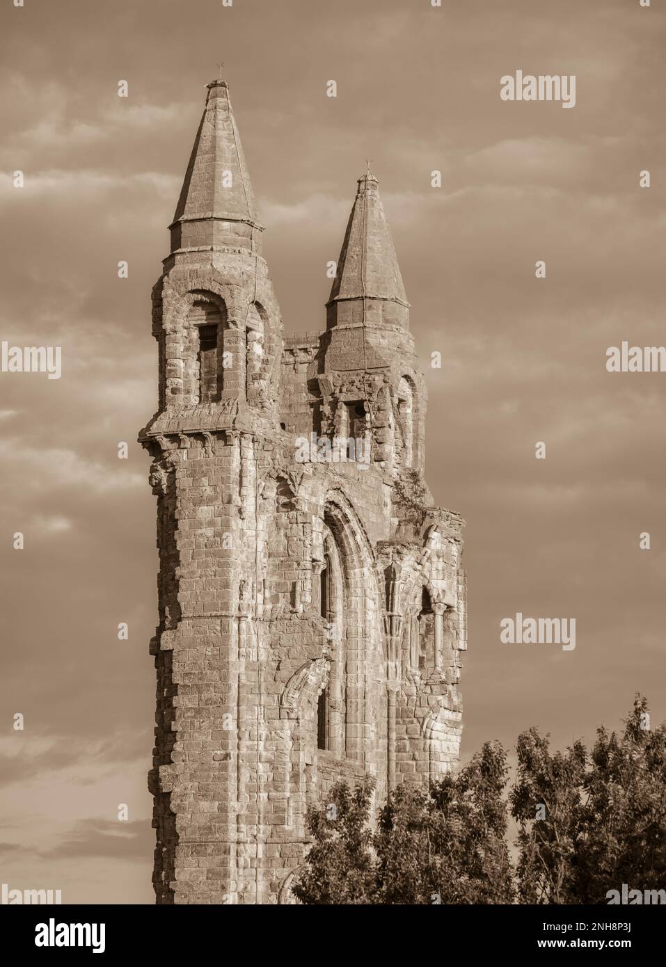 ST. ANDREWS, SCHOTTLAND, EUROPA - Ruinen der St. Andrews Cathedral. Stockfoto