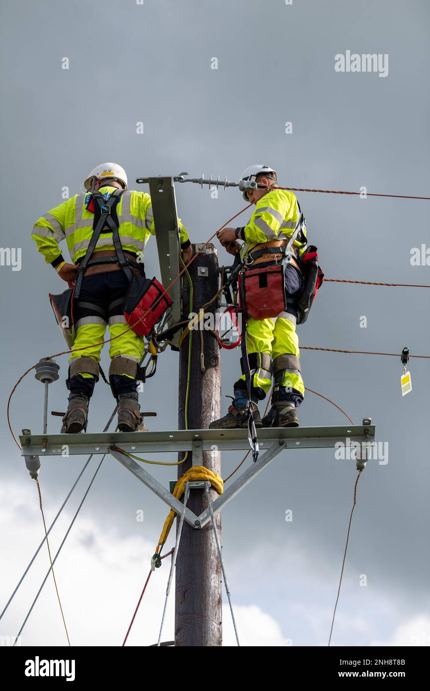 Elektroingenieure, die an einem hölzernen Strommasten arbeiten. Cumbria, Großbritannien. Stockfoto