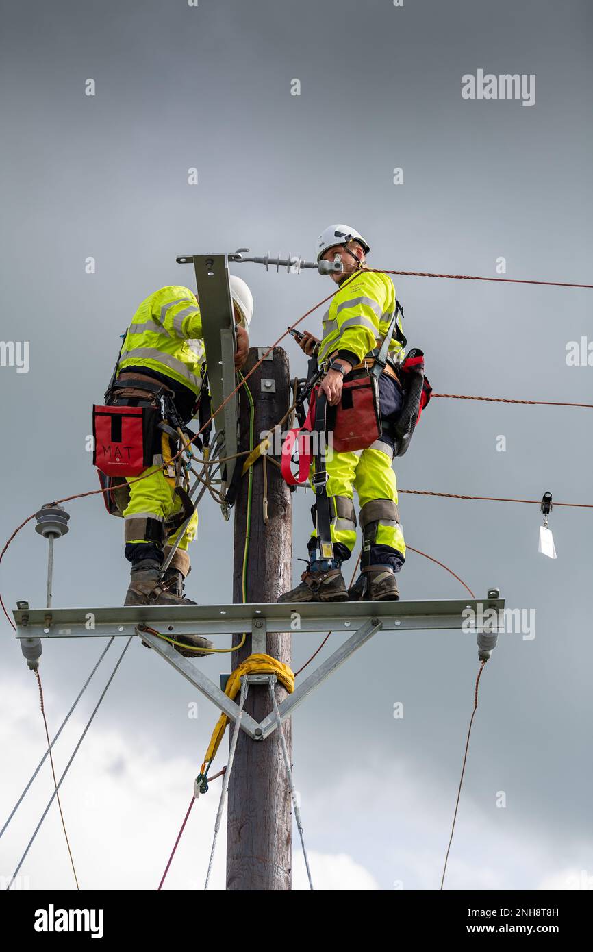 Elektroingenieure, die an einem hölzernen Strommasten arbeiten. Cumbria, Großbritannien. Stockfoto