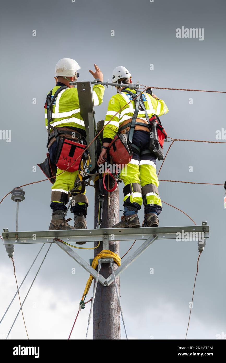Elektroingenieure, die an einem hölzernen Strommasten arbeiten. Cumbria, Großbritannien. Stockfoto