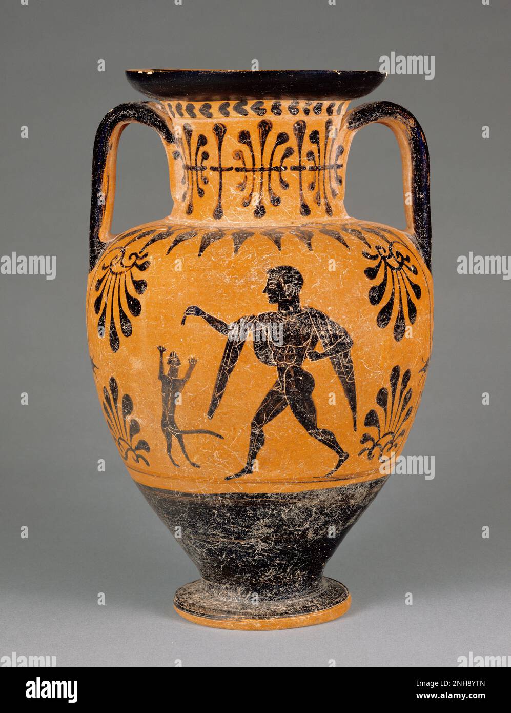 Neck-Amphora; wird der Lotus-Bud-Gruppe zugeschrieben; etwa 490 v. Chr.; Terrakotta. Ein nackter Jugendlicher mit Chlamys über den Schultern hält einen Happen Futter für eine Langschwanzkatze bereit, die mit ihren Forelegs aufspringt, um sich das verführerische Leckerli zu schnappen. Stockfoto