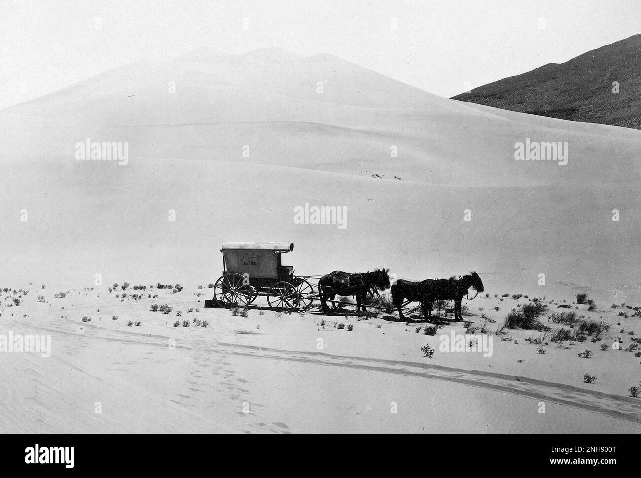 Desert Sand Hills in der Nähe von Sink of Carson, Nevada. Fotografiert von Timothy H. O'Sullivan (Amerikaner, ca. 1840-1882); 1867. Silberdruck aus Albumen. Stockfoto