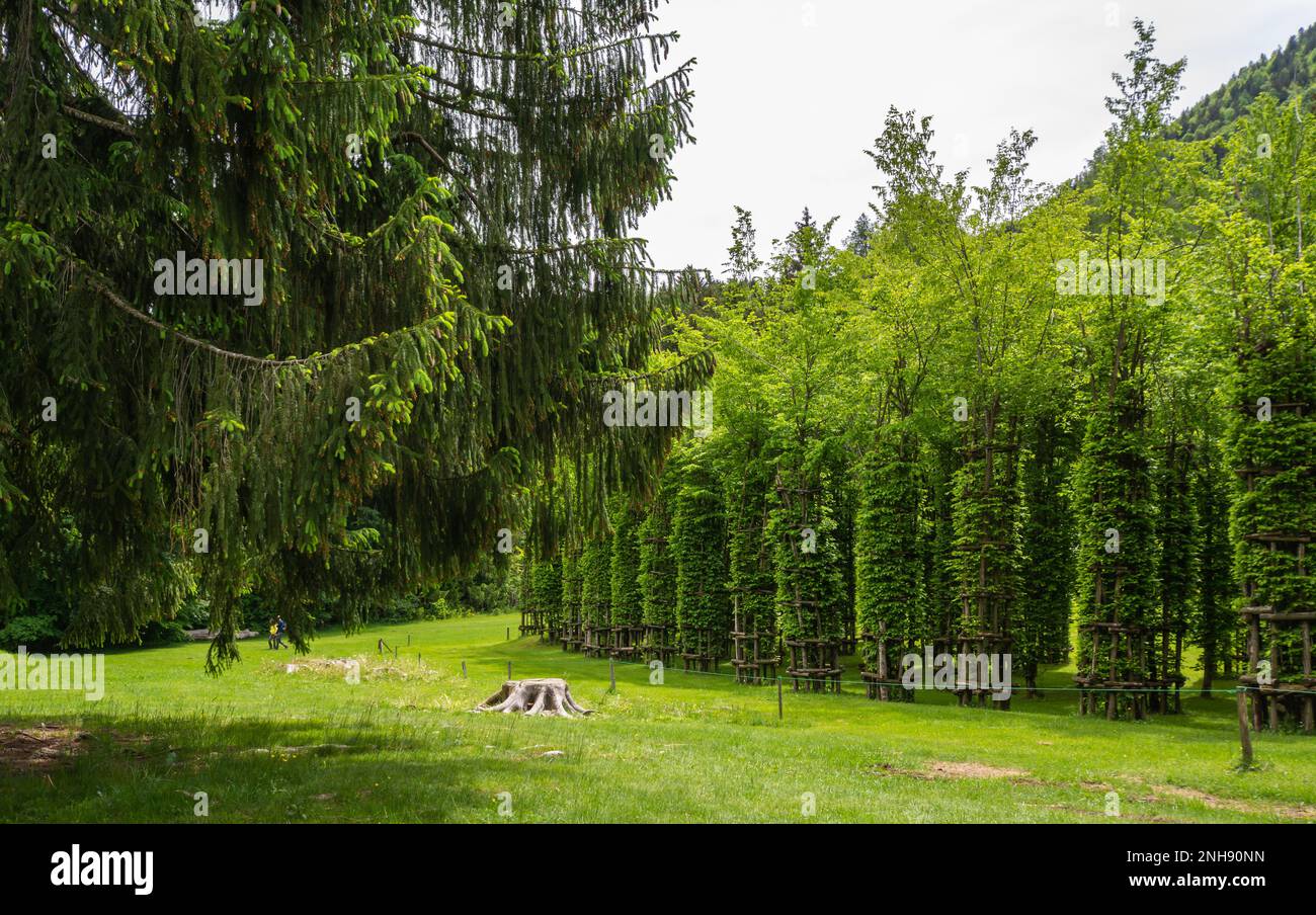 Arte Sella ist eine Ausstellung zeitgenössischer Kunst, die in den Wäldern des Sella-Tals, Borgo Valsugana - Trentino Alto Adige - Italien stattfindet Stockfoto