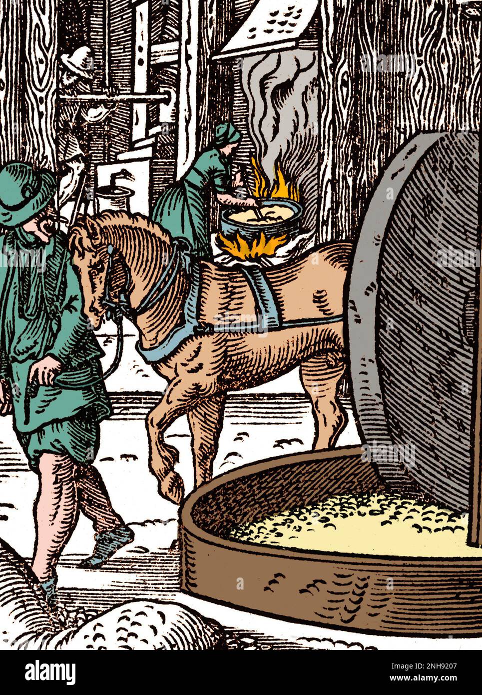 Eine Werkstatt, in der Öle aus Bäumen, Nüssen, Beeren usw. für Lebensmittel und Medizin hergestellt werden. Woodcut aus Jost Ammans Handelsbuch, 1568. Gefärbt. Stockfoto