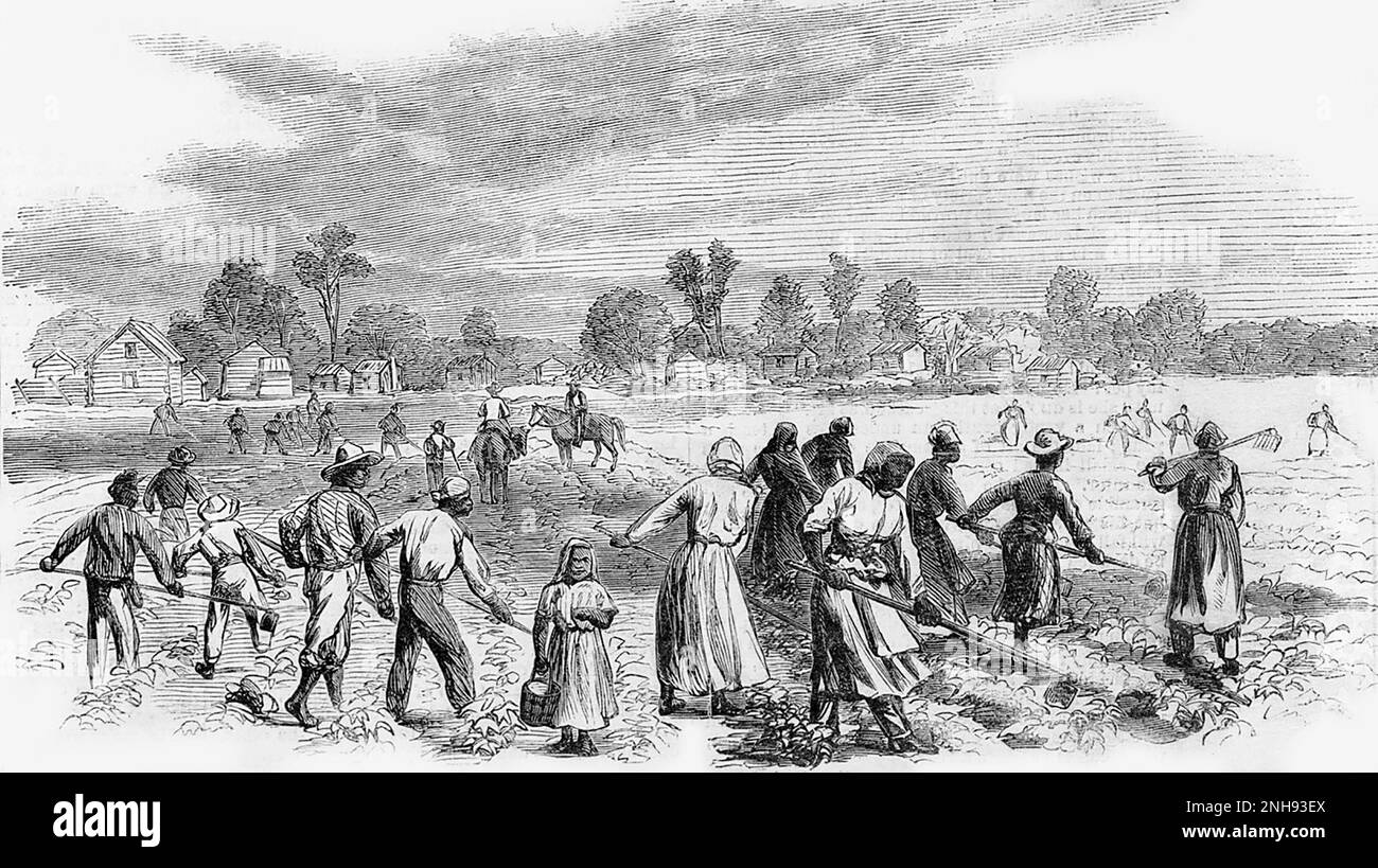 Ehemalige Sklaven, die eine Baumwollpresse auf einer südlichen Baumwollplantage arbeiteten, 1867. Illustration von Alfred R. Waud, Harper's Weekly, 2. Februar 1867. Stockfoto