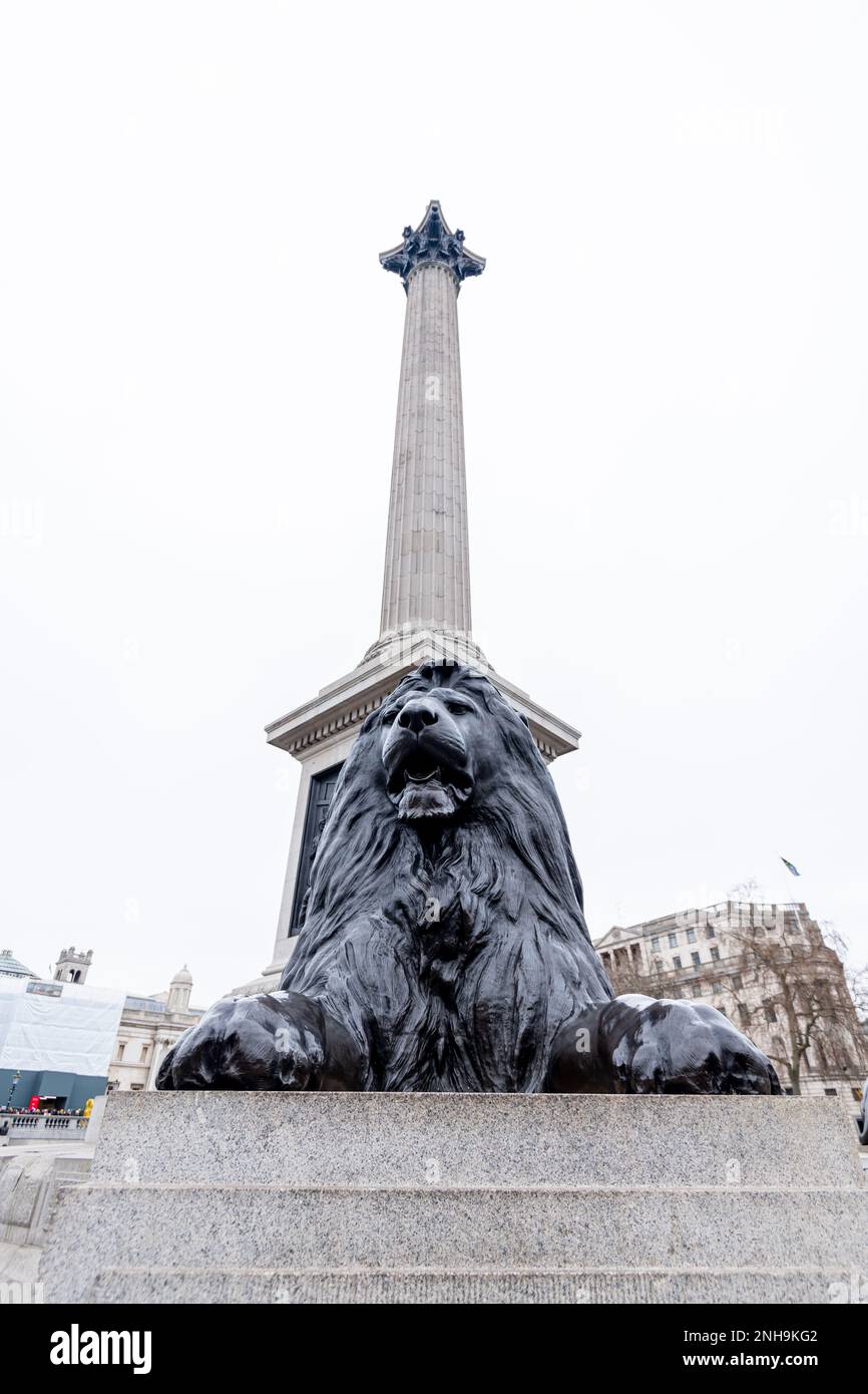 Der Trafalgar Square ist ein öffentlicher Raum und eine Touristenattraktion im Zentrum von London. Landschaftsaufnahmen mit Schwenkobjektiv für vertikale Aufnahmen Stockfoto